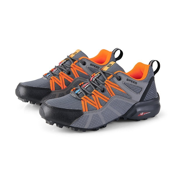 gray-orange