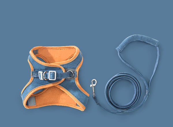 orange-blue