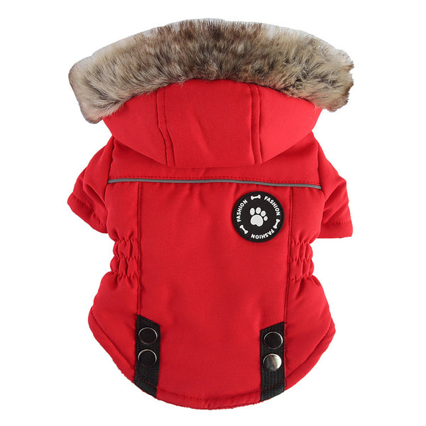dz274-red
