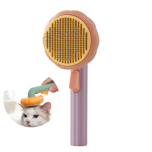 purple-orange
