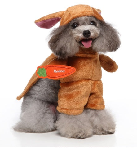 brown-rabbit